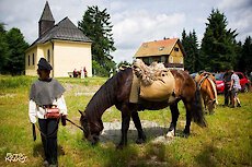 Bayerischer Wald